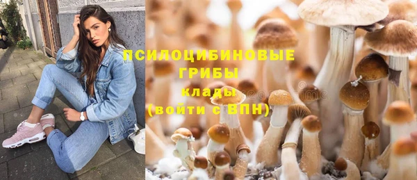 спайс Алексин