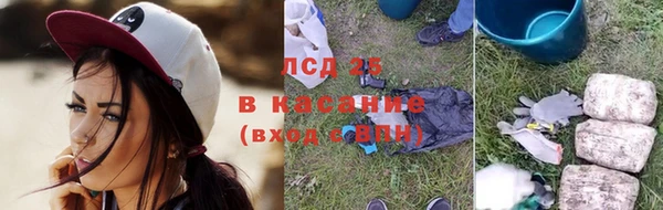 гашик Алексеевка